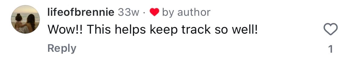 Instagram comment from @lifeofbrennie — Wow!! This helps keep track so well!